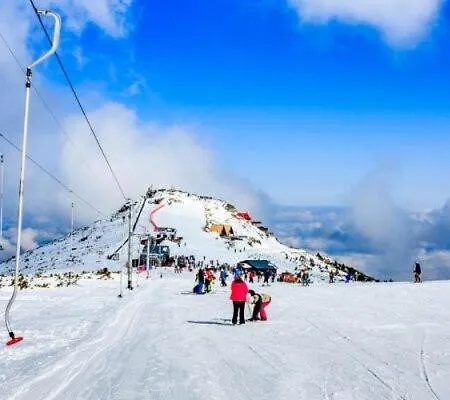 Forest Apartment/ Park