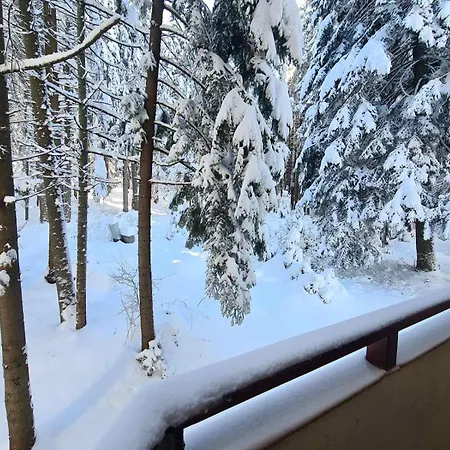 Apartmán Forest Apartment/ Park Borovec