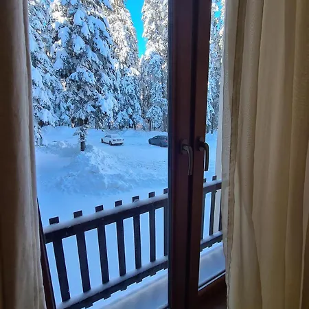 Forest Apartment/ Park Боровец