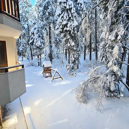 Forest Apartment/ Park