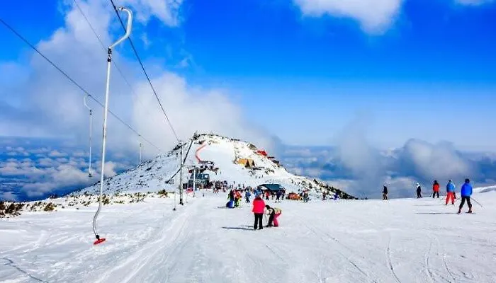 Forest Apartment/ Park