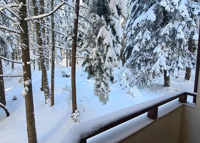 Apartament Forest Apartment/ Park Borowec