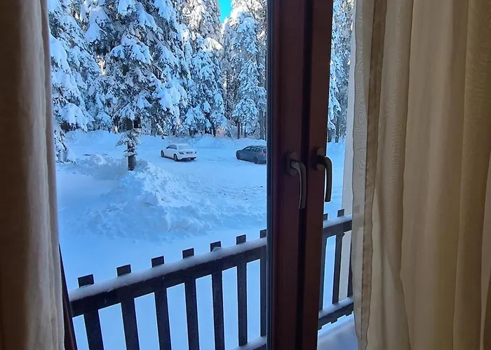 Forest Apartment/ Park Borowec