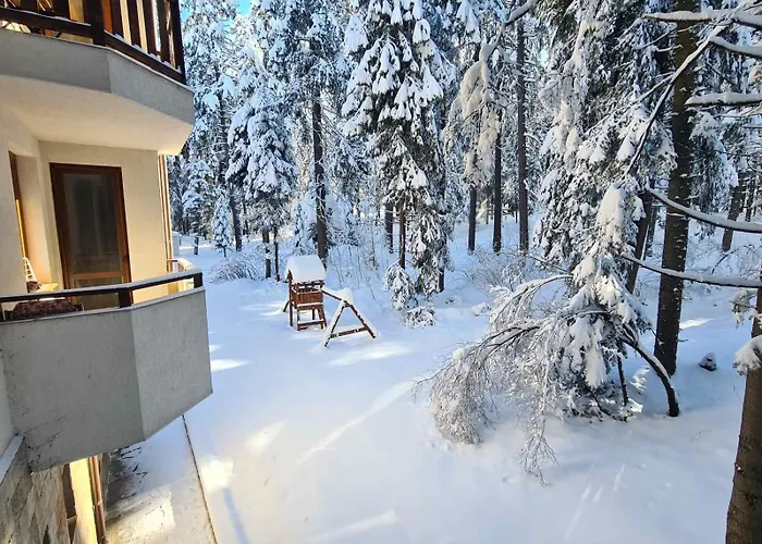 Forest Apartment/ Park